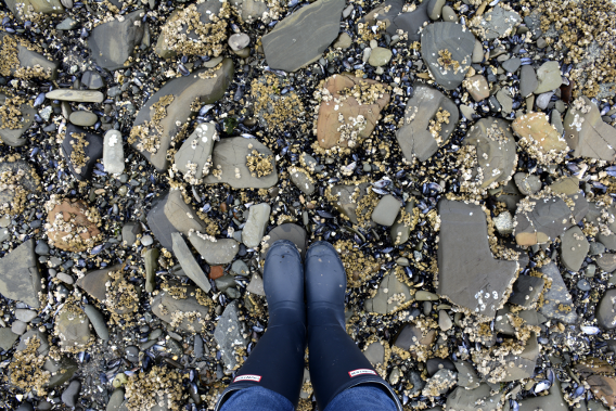 Hunter Wellies at Icy Strait Point
