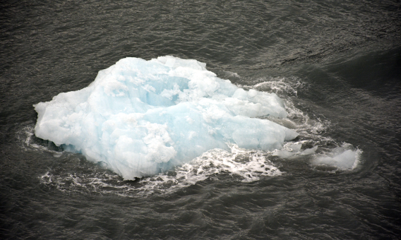 Hubbard Glacier Iceberg