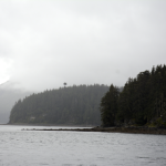 Icy Strait Point Forest from Boat