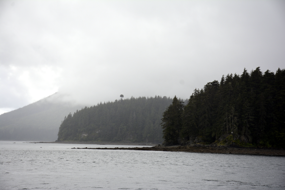 Icy Strait Point Forest from Boat