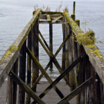 Icy Strait Point Old Dock
