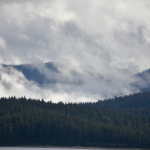 Misty Alaska Forest from Boat