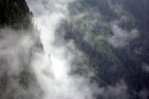 Misty Mountains near Ketchikan