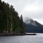 Whale Watching Landscape