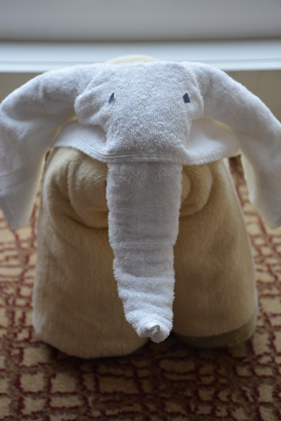 Celebrity Cruise Elephant Towel