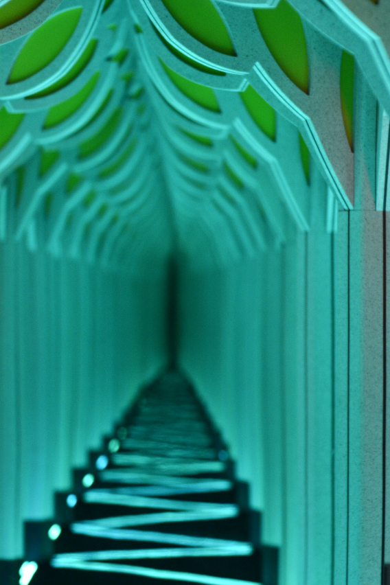 Museum of Science and Industry's Mirror Maze 2