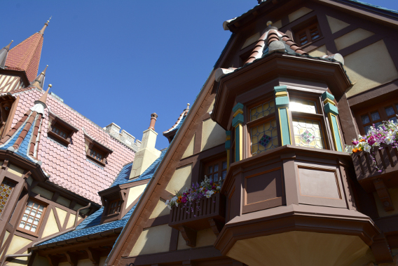 Disneyworld's Magic Kingdom