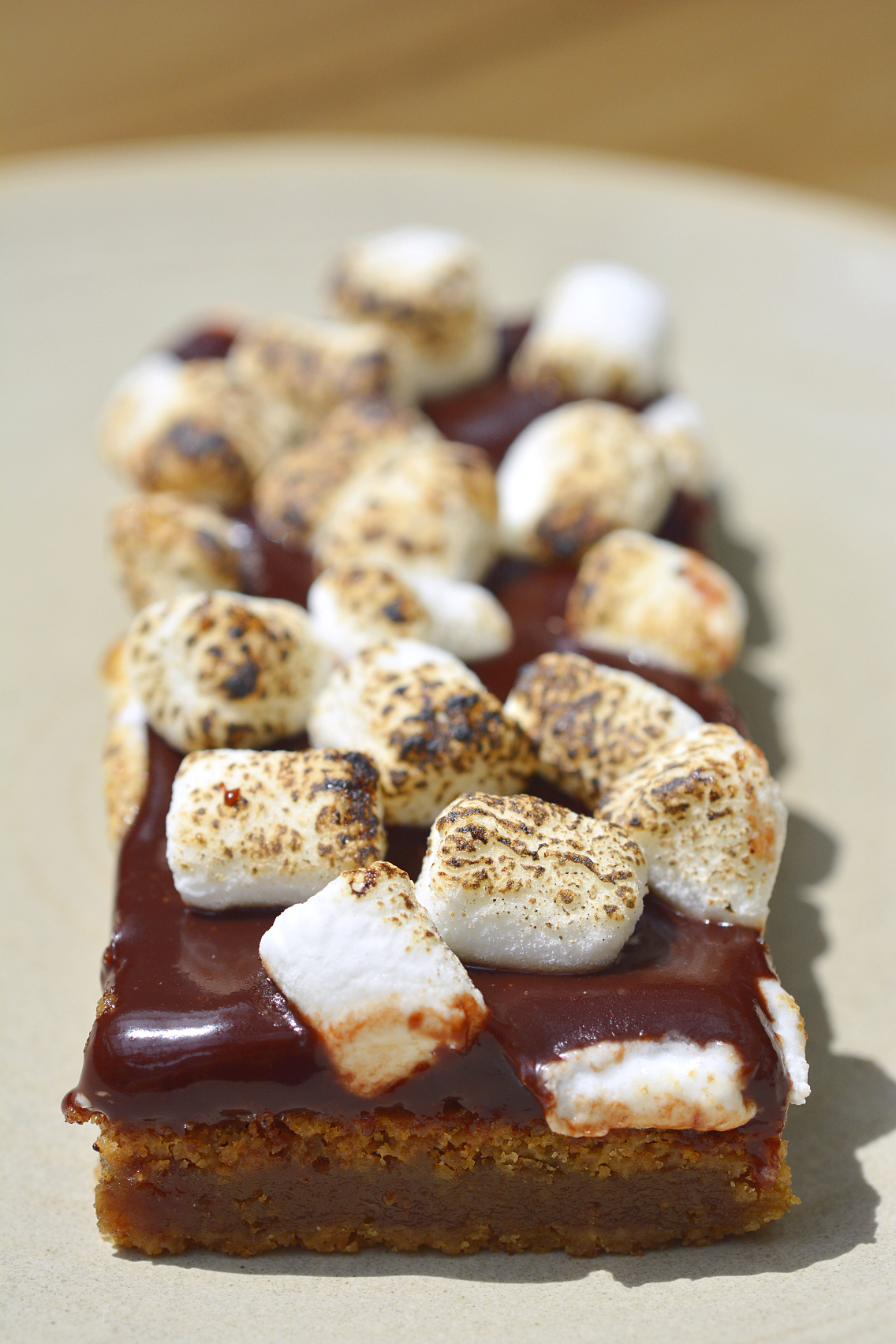 Summer House Chicago S'mores Bar 1