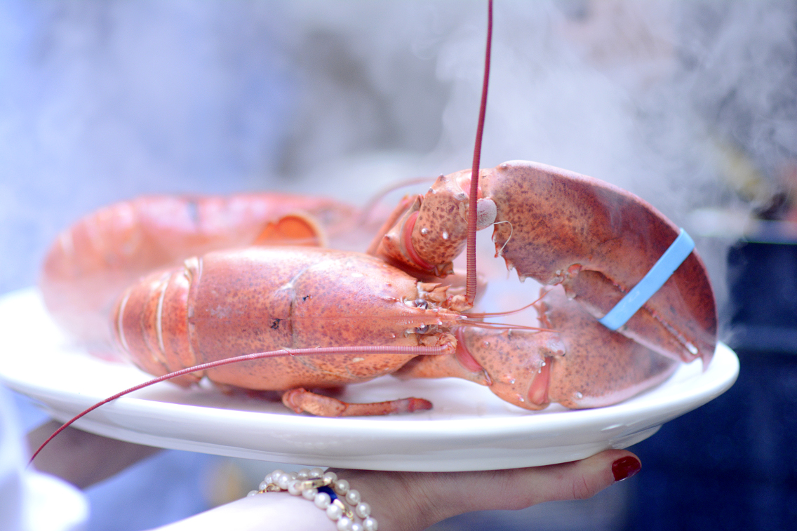Lobster Boil 20