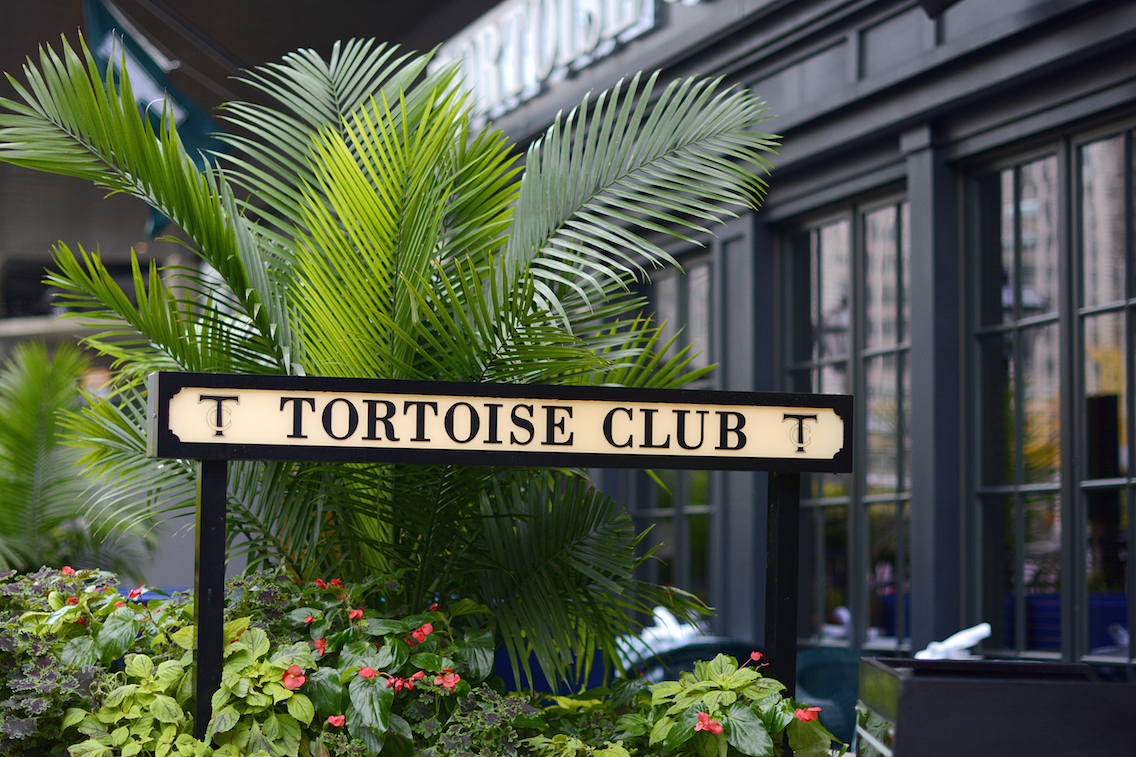 Tortoise Club Chicago