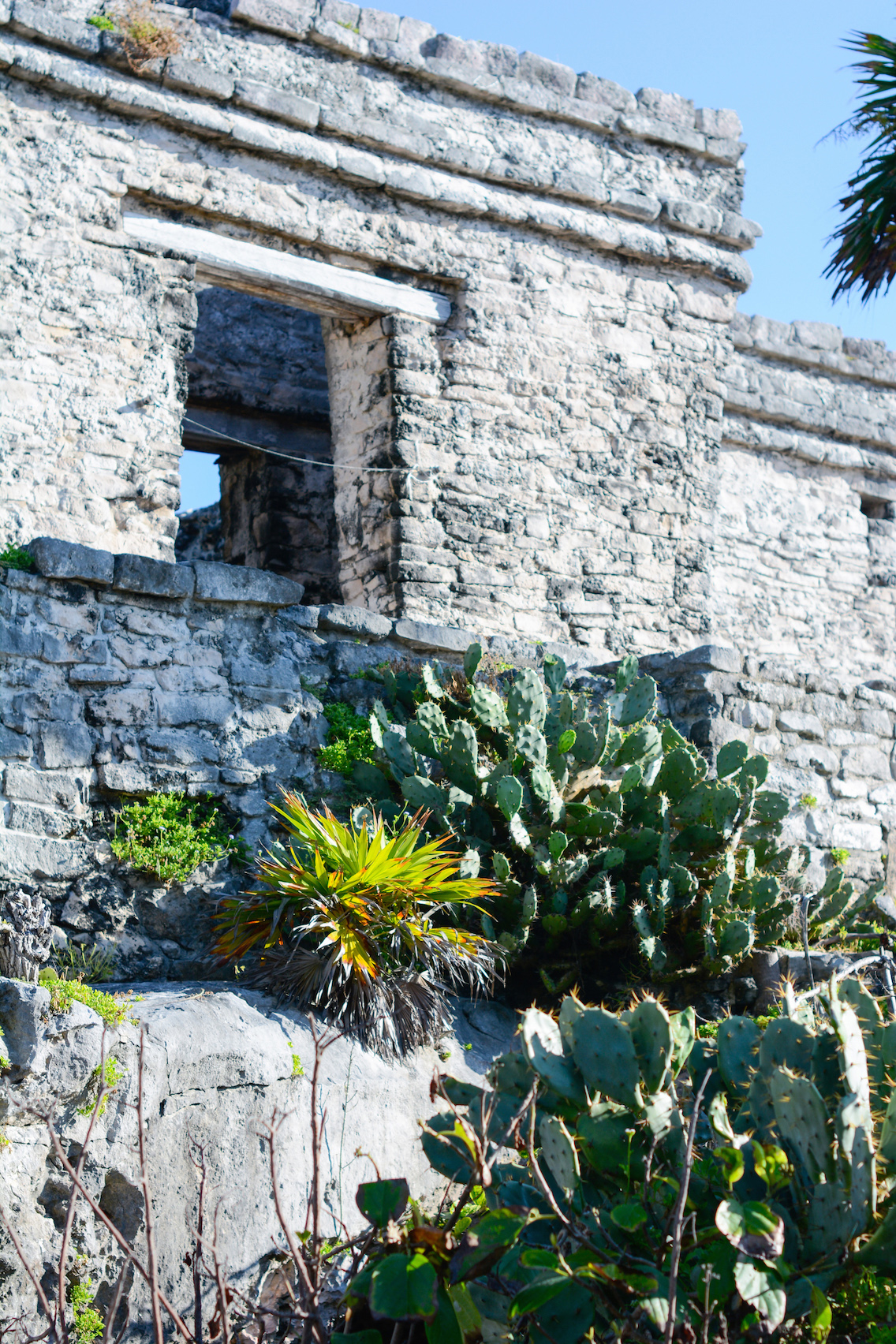 Tulum Mayan Ruins Mexico 60