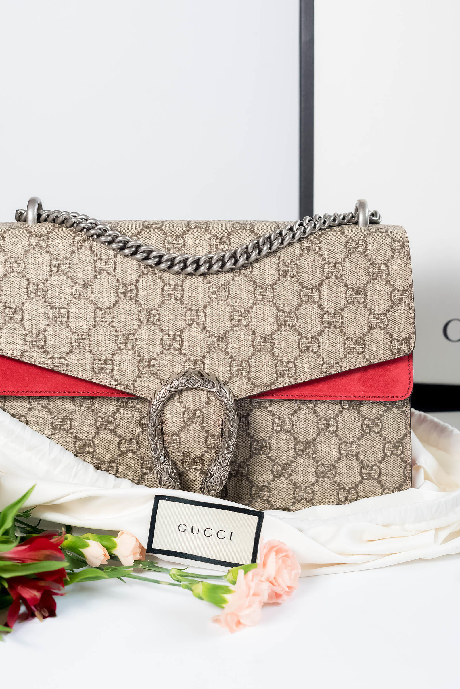 GUCCI DIONYSUS MINI REVIEW (2 years later) 