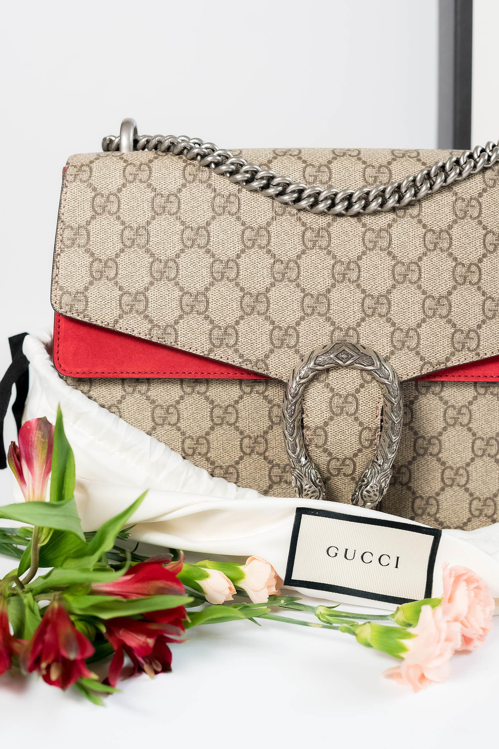 Obsessing Over My Gucci Dionysus Bag - Sed Bona
