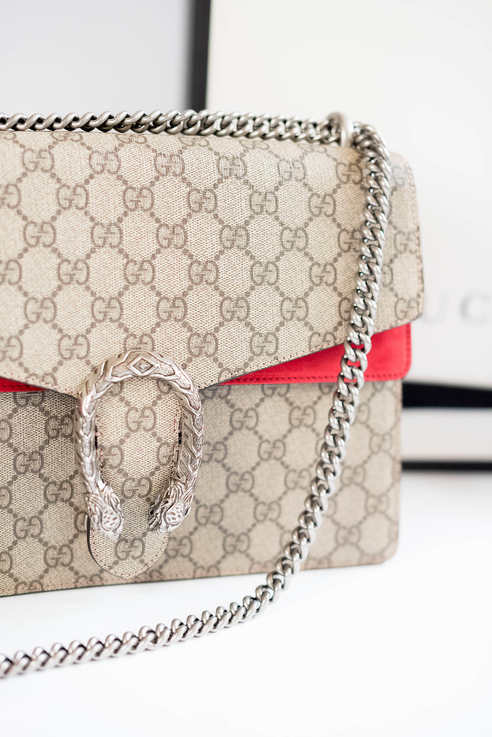 Obsessing Over... My Gucci Dionysus Bag - Sed Bona