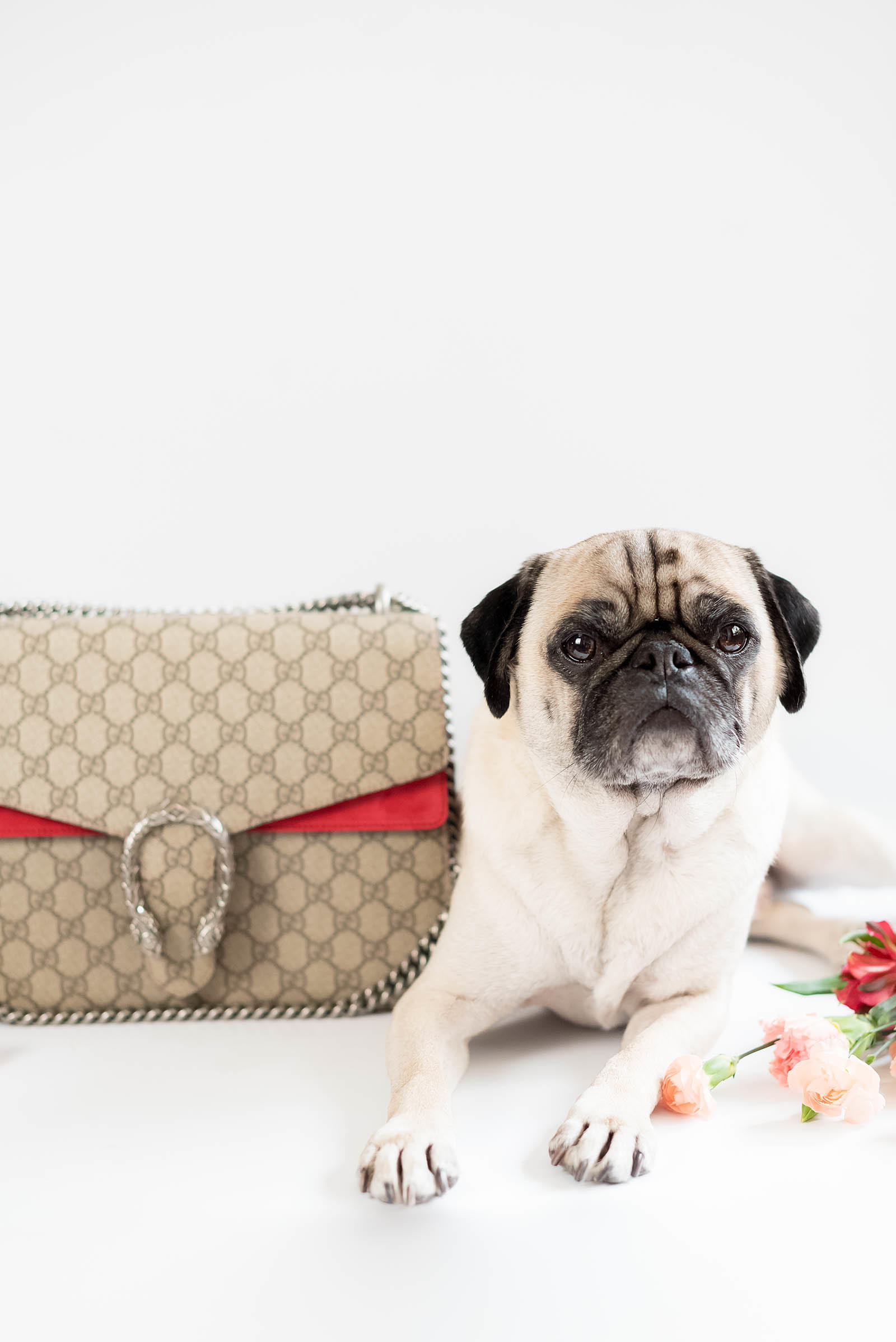 An Ode to the Louis Vuitton Speedy Bag - PurseBlog