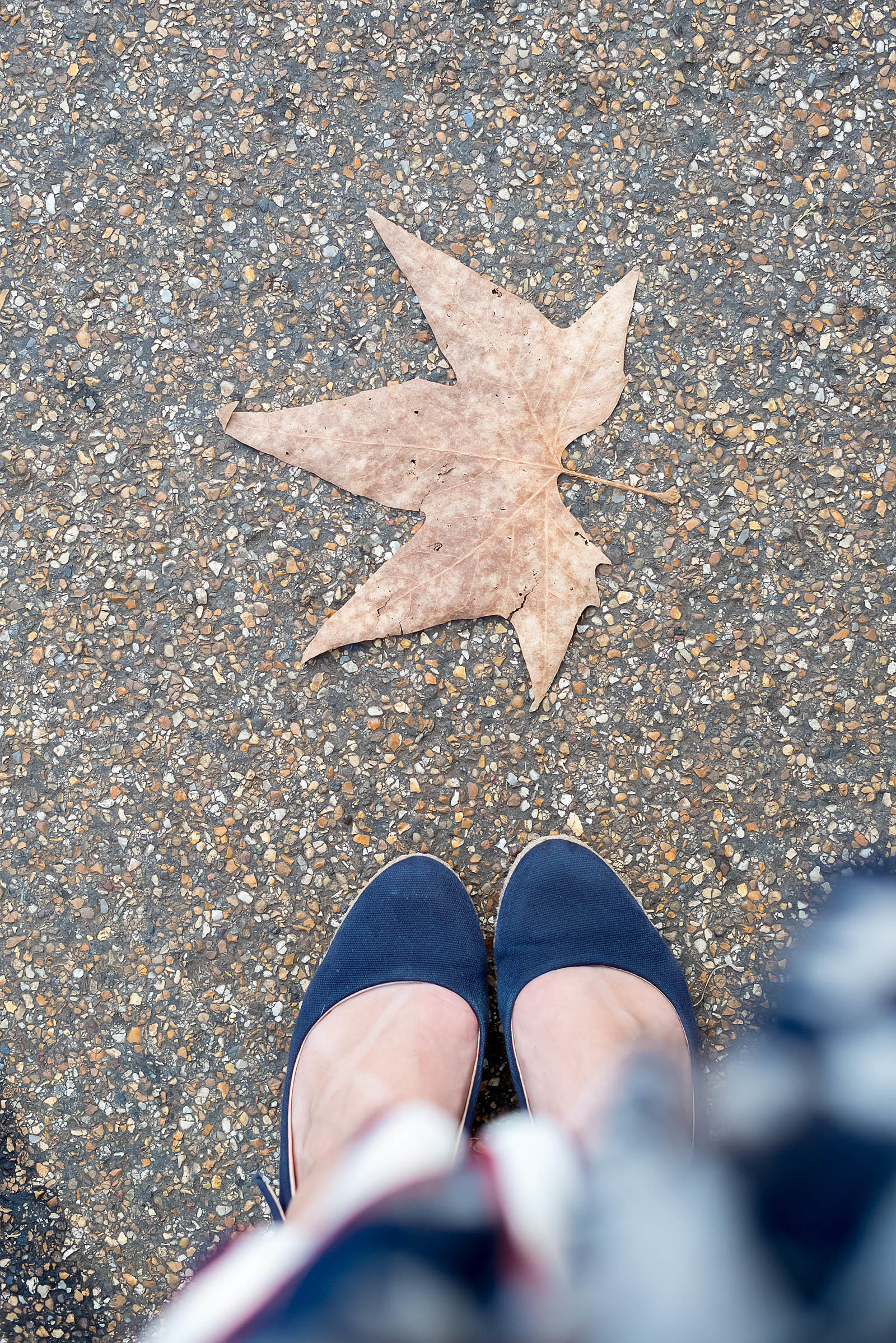 Hyde Park London