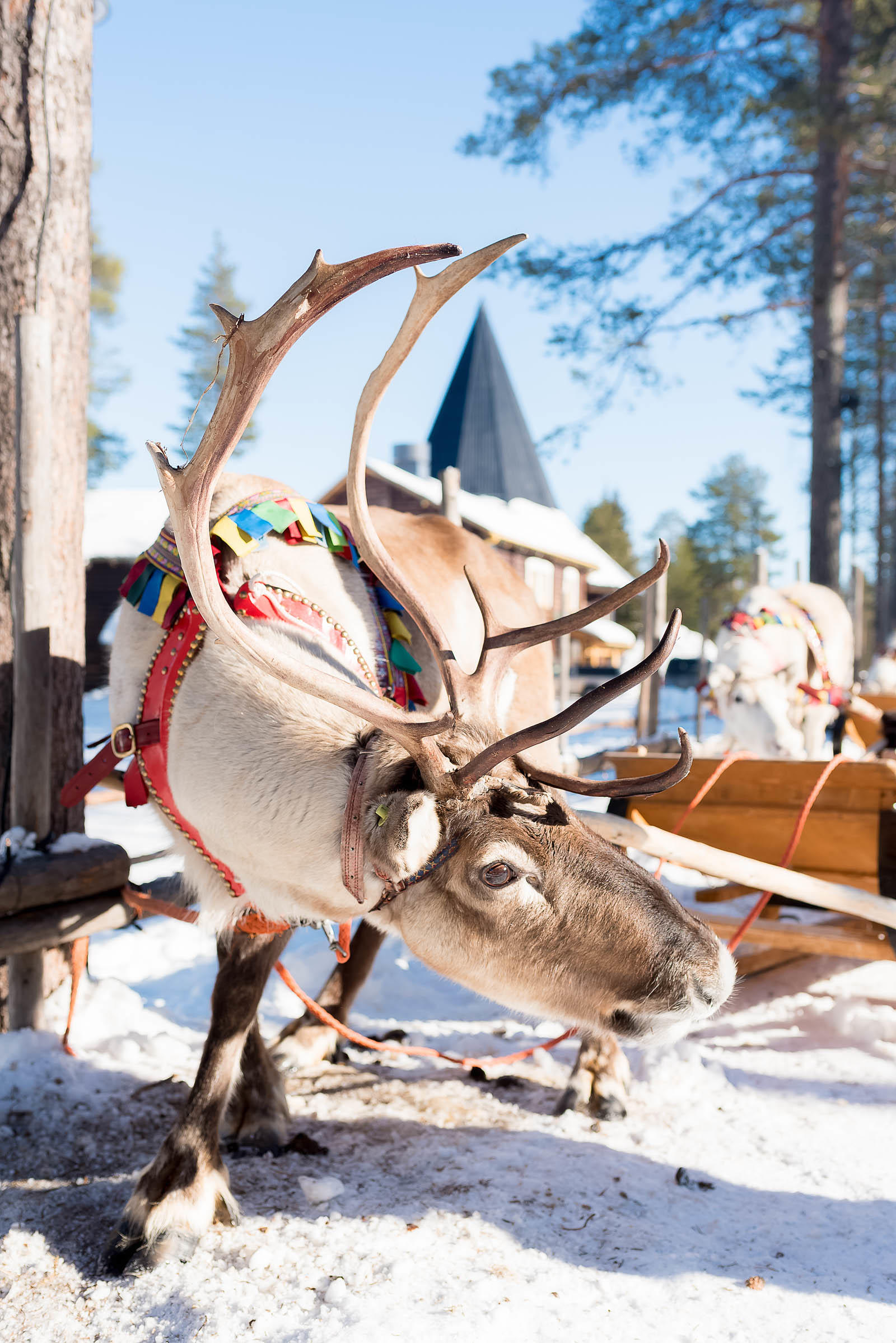 Rovaniemi Finland Santa Claus Village Arctic Circle