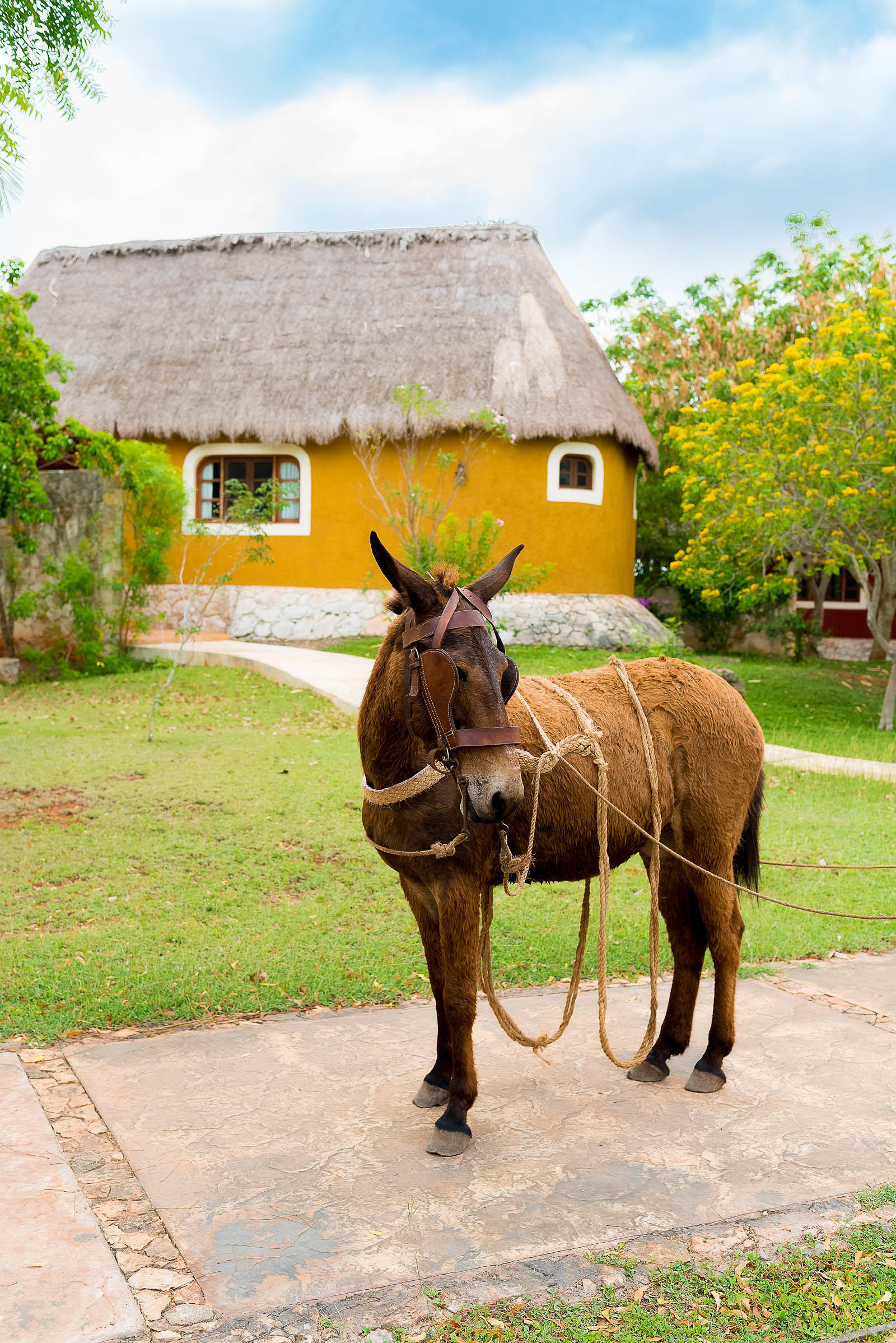 Sotuta De Peón Hacienda Yucatán Mexico
