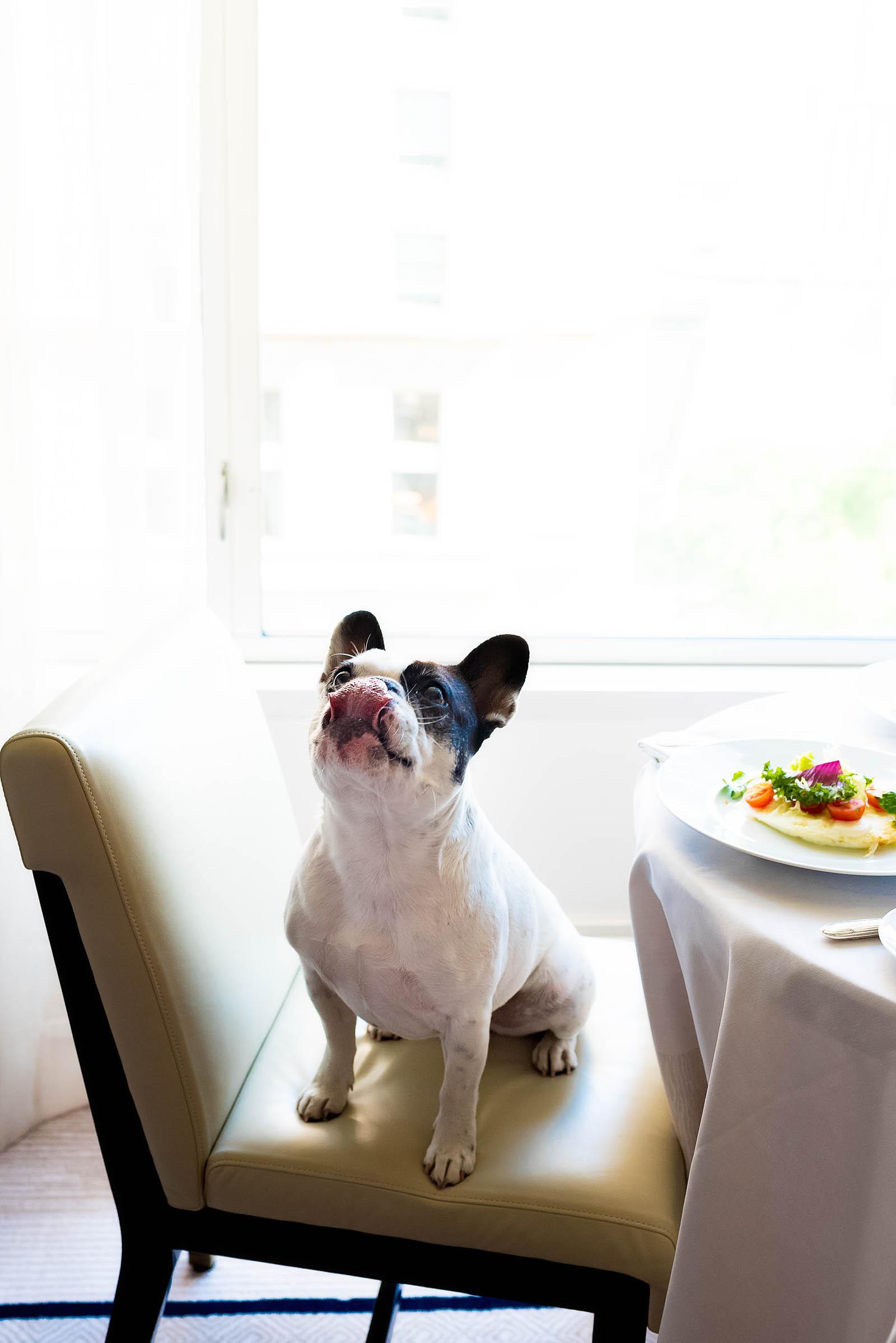 Peninsula Chicago Hotel Girl's Staycation Room Service Breakfast