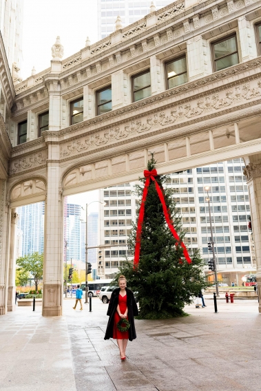 Chicago Christmas 2017