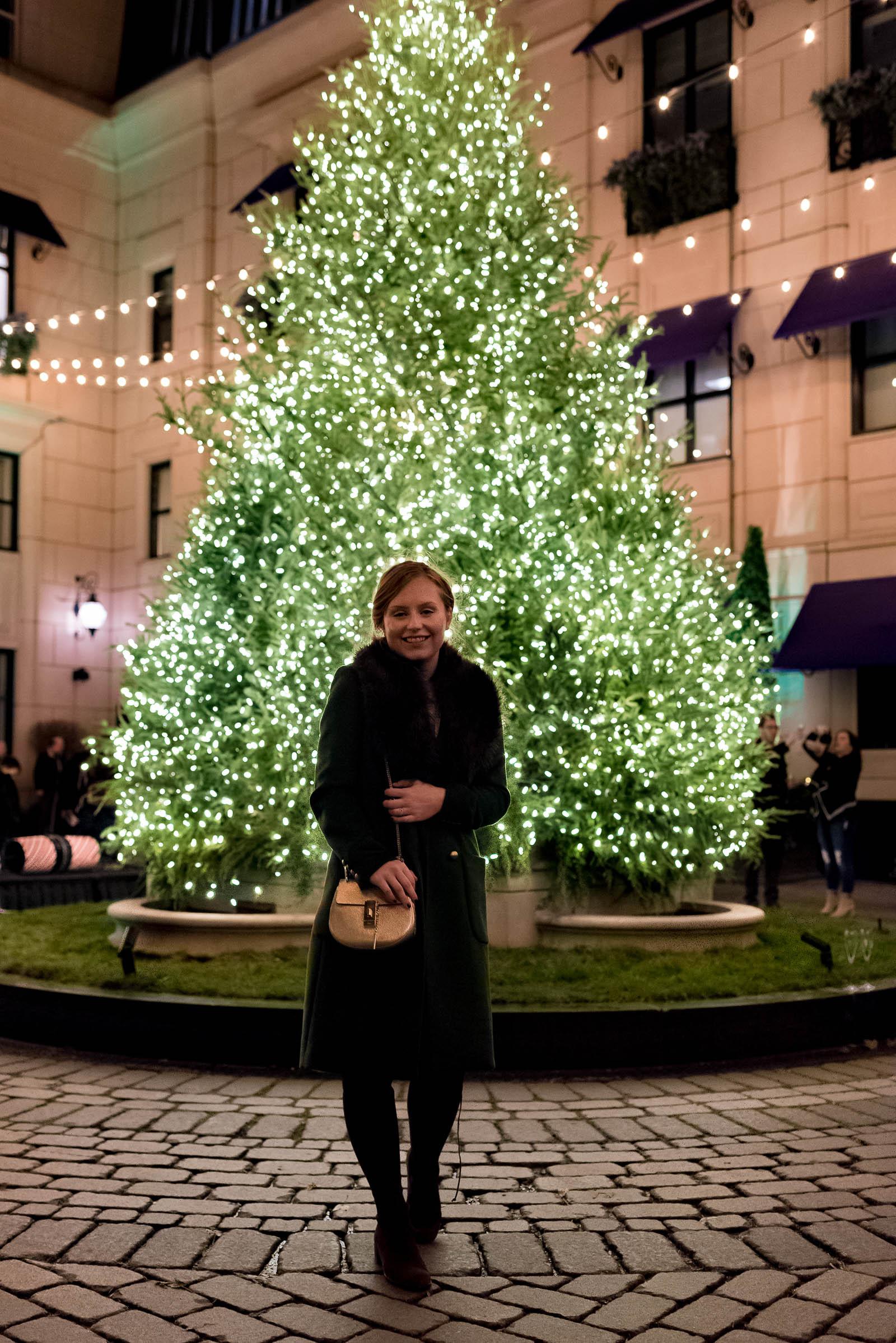 Waldorf Astoria Chicago Christmas Tree Lighting 2017