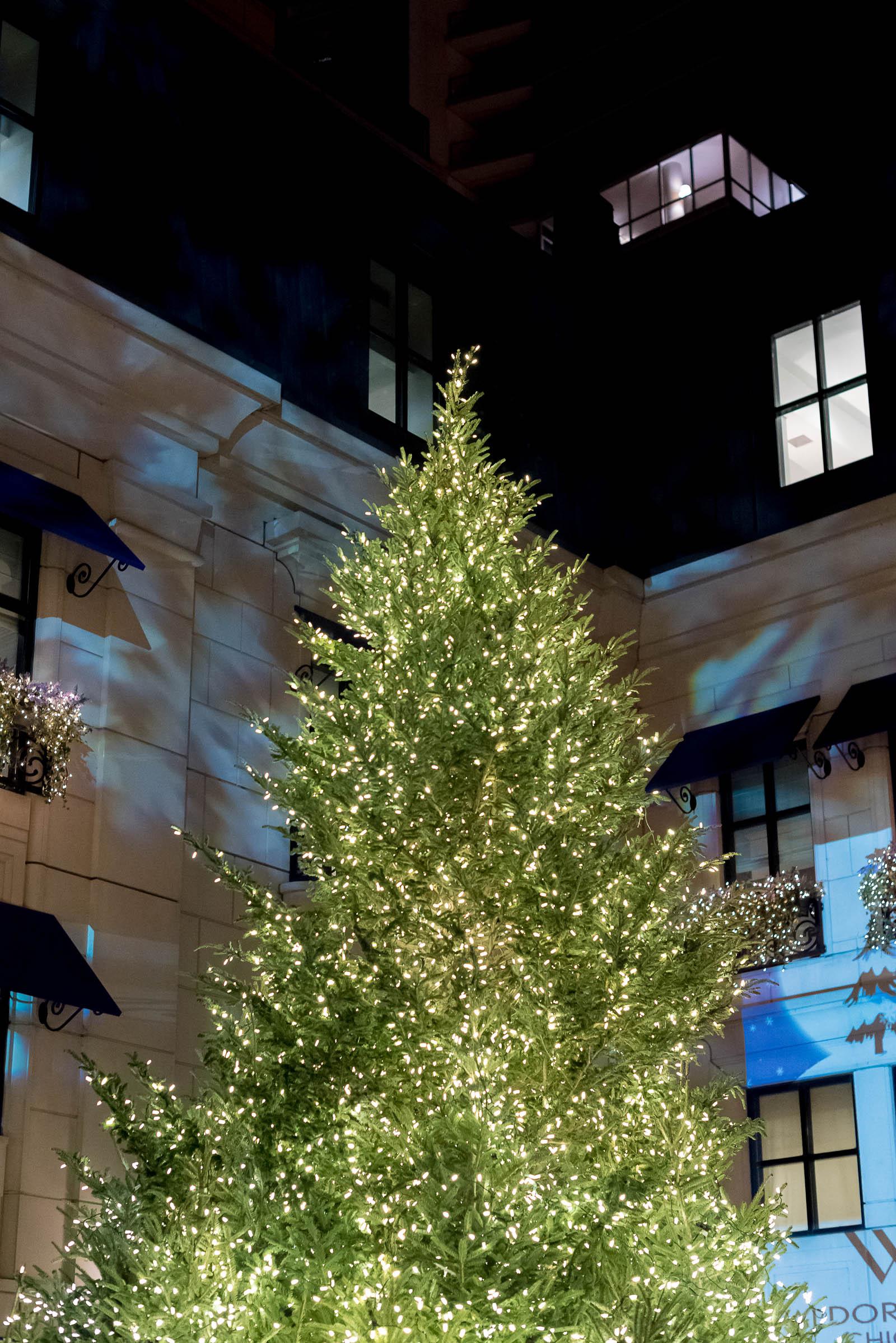 Waldorf Astoria Chicago Christmas Tree Lighting 2016