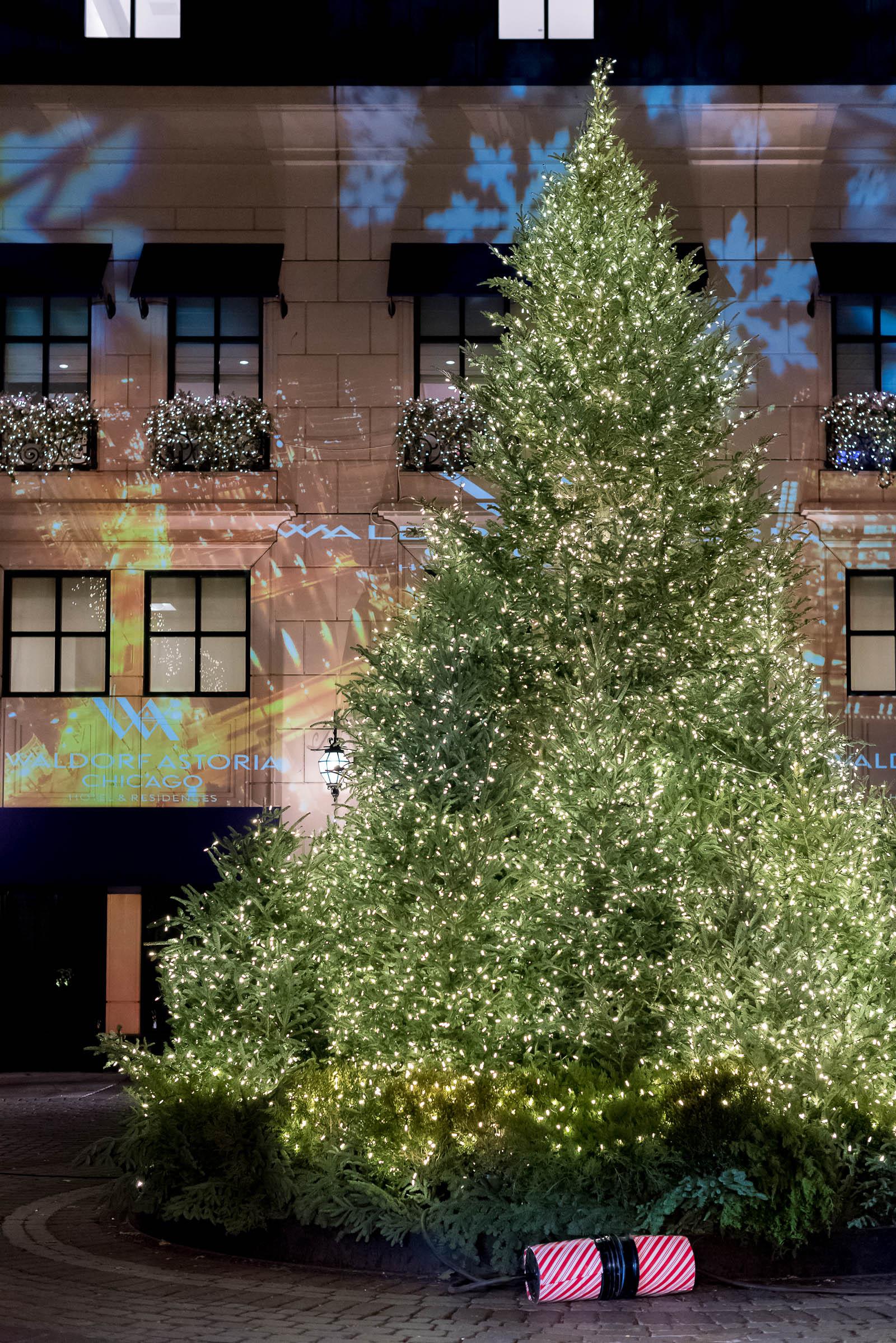 Waldorf Astoria Chicago Christmas Tree Lighting 2016