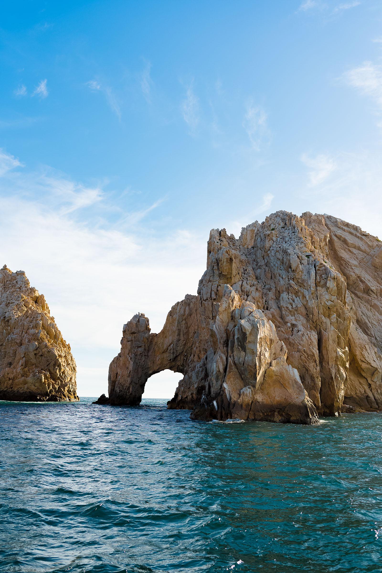 Los Cabos Mexico Whale Watching