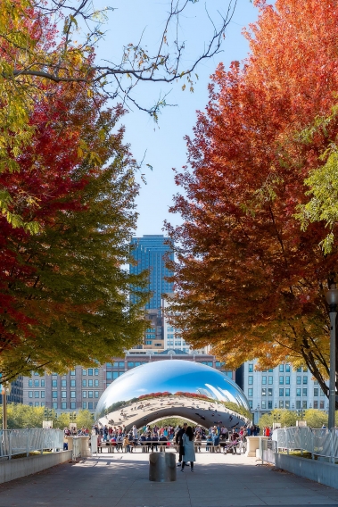 Millennium Park Chicago Fall Leaves