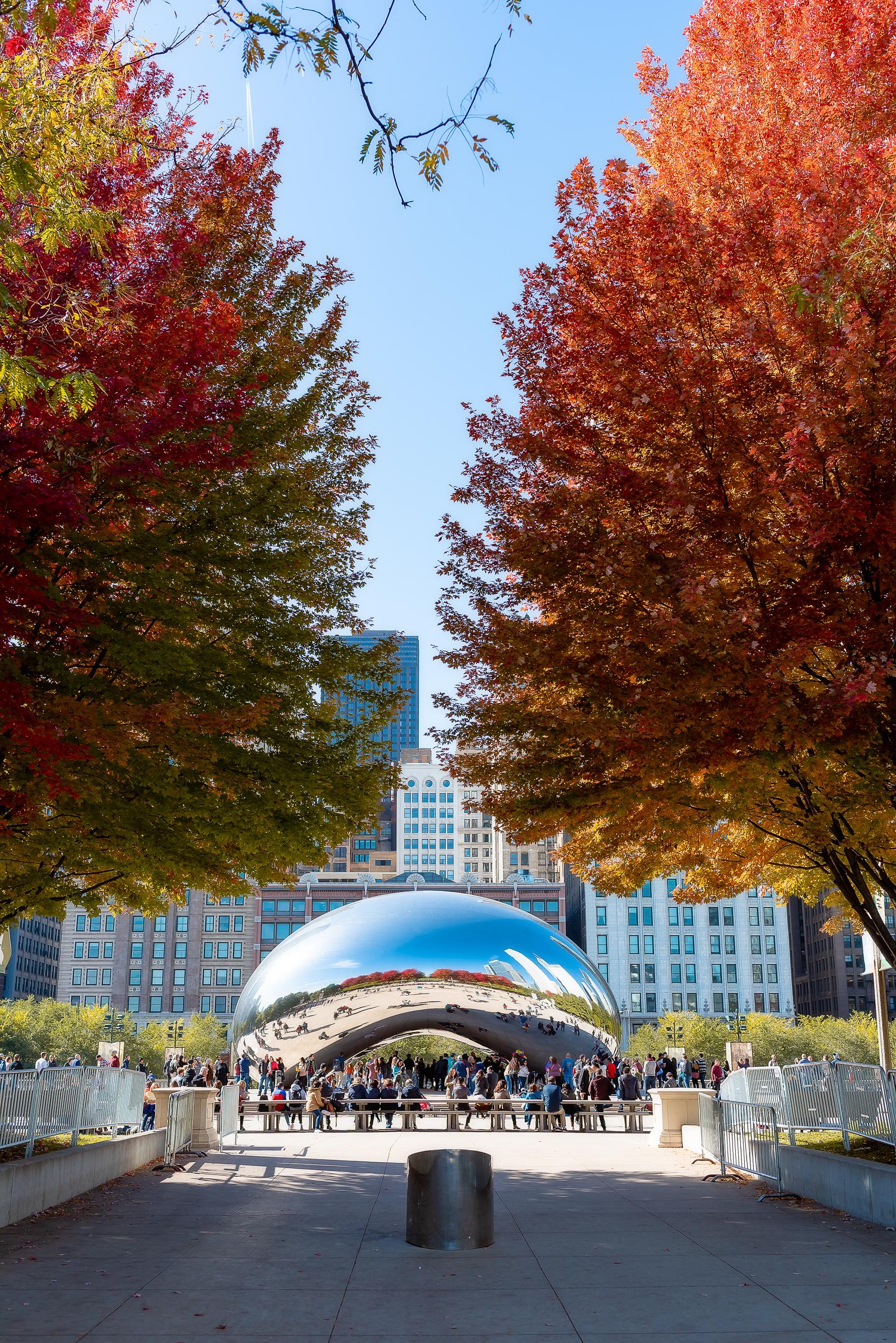 Millennium Park Chicago Fall Leaves