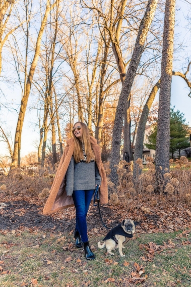 Healthy Winter Dog Tips